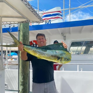 Mahi Mahi Fishing in Fort Lauderdale, Florida