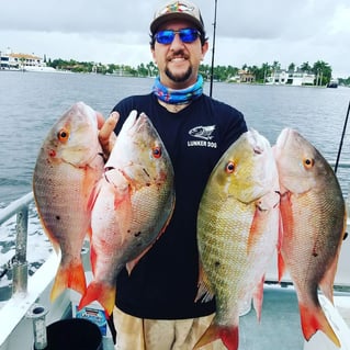 Mutton Snapper Fishing in Fort Lauderdale, Florida