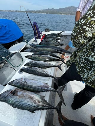 Bay Fishing Puerto Vallarta