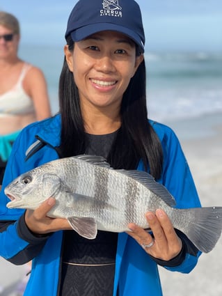 Black Drum Fishing in Sarasota, Florida