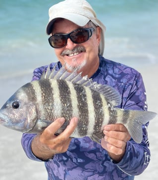 Sheepshead Fishing in Sarasota, Florida