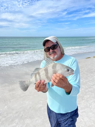 Black Drum Fishing in Sarasota, Florida