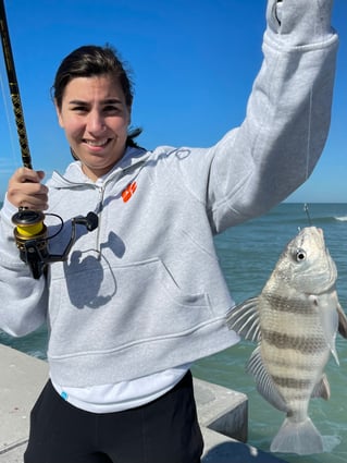 Black Drum Fishing in Sarasota, Florida