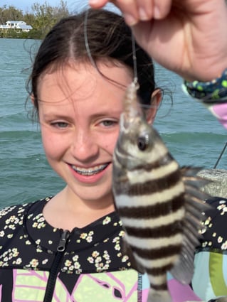 Sheepshead Fishing in Sarasota, Florida