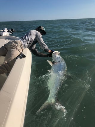 Tarpon Fishing in Saint James City, Florida