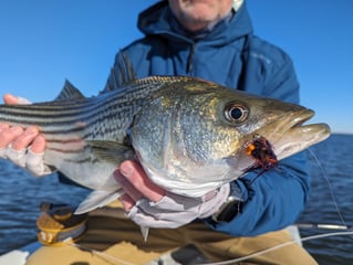 Sight Fishing Redfish