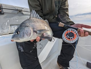 Redfish Fishing in Belhaven, North Carolina