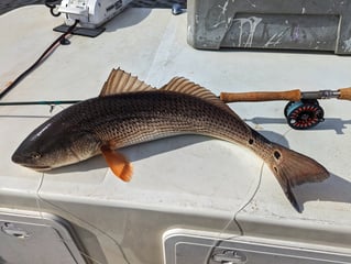 Redfish Fishing in Belhaven, North Carolina