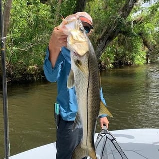 Snook Fishing in Vero Beach, Florida