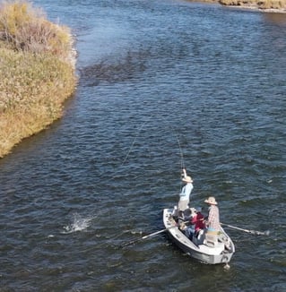 Madison River Float Fishing