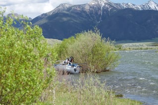 Madison River Float Fishing