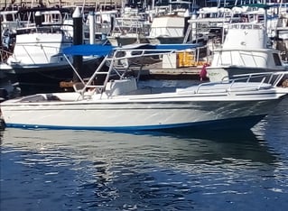 Boat blue marlin 30 ft