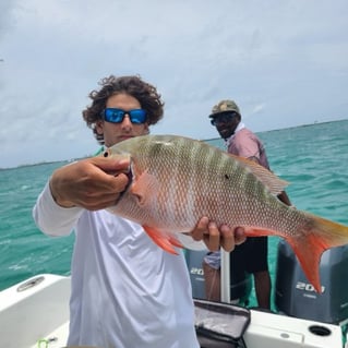 Mutton Snapper Fishing in Stuart, Florida