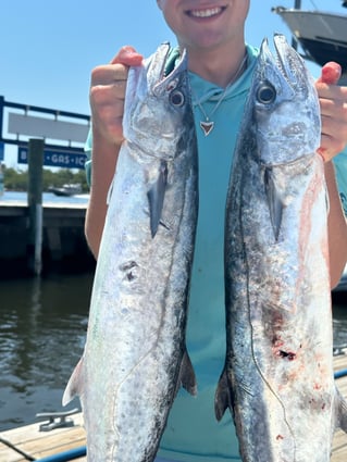 Kingfish Fishing in Stuart, Florida