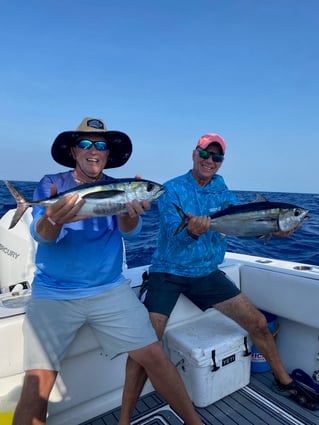 Mahi and Tuna