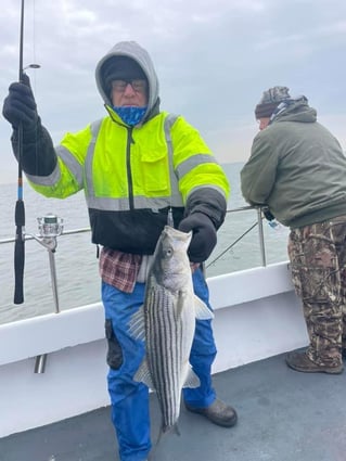 6 hour trip- weekday stripers(am)