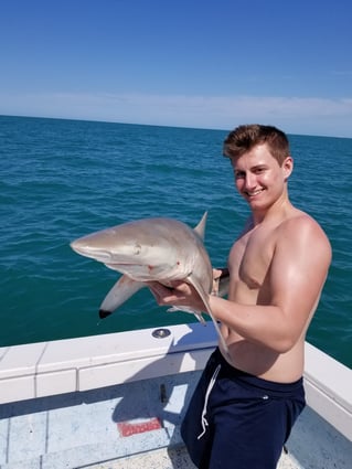 Blacktip Shark Fishing in Marco Island, Florida