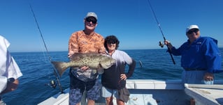 Marco Island Charter Fishing