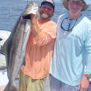 Cobia Fishing in Pensacola, Florida