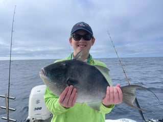 Triggerfish Fishing in Pensacola, Florida