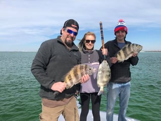 Sheepshead Fishing in Destin, Florida