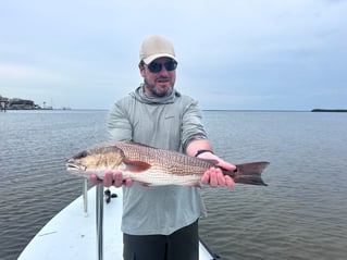 Redfish Fishing in Tarpon Springs, Florida