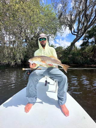 Redfish Fishing in Tarpon Springs, Florida