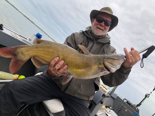 Channel Catfish Sandusky Bay