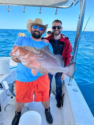 Red Grouper Fishing in Clearwater, Florida