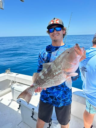 Red Grouper Fishing in Clearwater, Florida