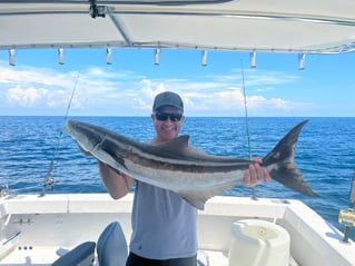 Cobia Fishing in Clearwater, Florida