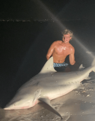 Bull Shark Fishing in St. Petersburg, Florida