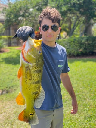 Peacock Bass Blast