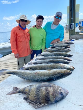 Sheepshead, Speckled Trout Fishing in Dauphin Island, Alabama