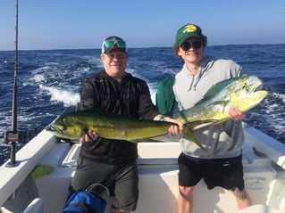 Mahi Mahi Fishing in Puerto Vallarta, Mexico