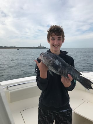 Black Seabass Fishing in Hampton Bays, New York