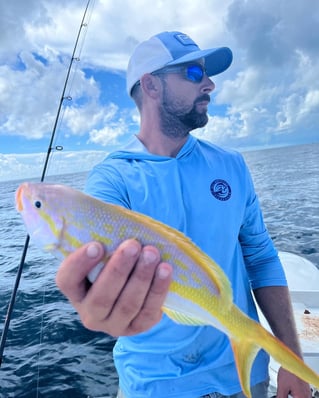 Yellowtail Snapper Fishing in Summerland Key, Florida