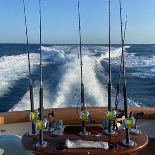 Luxury Offshore Sportfishing