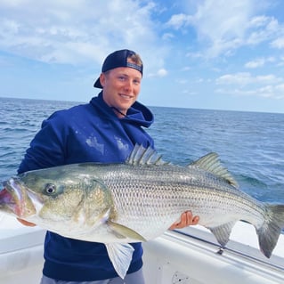 Trophy Striped Bass - Inshore Fishing Charter