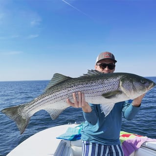 Trophy Striped Bass - Inshore Fishing Charter