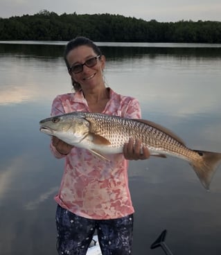 Redfish Fishing in Pine Island Center, Florida