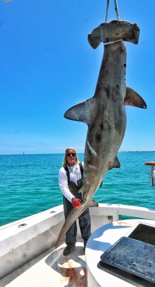 Miami Nearshore/Offshore Sportfishing