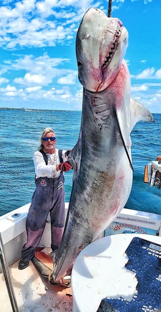 Miami Nearshore/Offshore Sportfishing