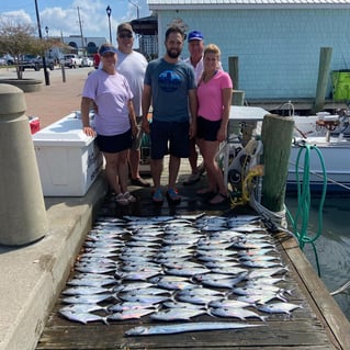 NC Nearshore/Offshore Adventure