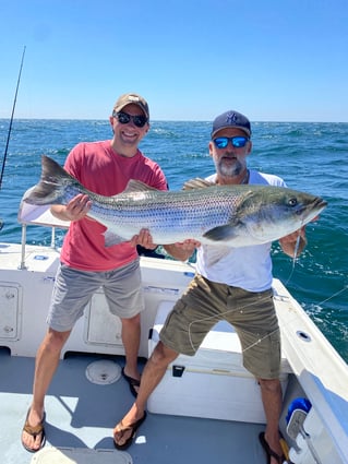 Evening/ Night Striped Bass