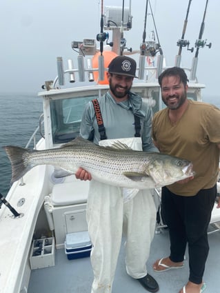 Evening/ Night Striped Bass