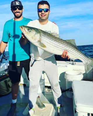 Striped Bass Fishing in Montauk, New York