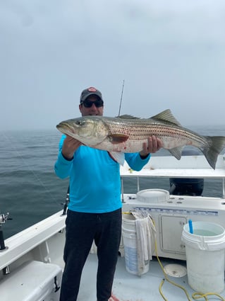 Evening/ Night Striped Bass