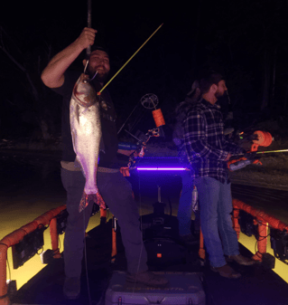 Mississippi's Premier Guided Bowfishing Trip