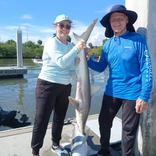 Coastal shark trips